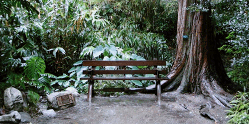 Botanical Gardens at UCLA